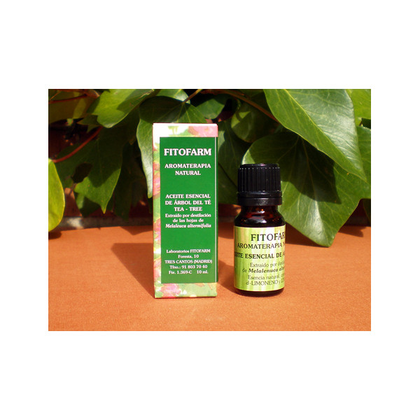 ACEITE ESENCIAL DE ÁRBOL DE TÉ  (TEA TREE OIL)